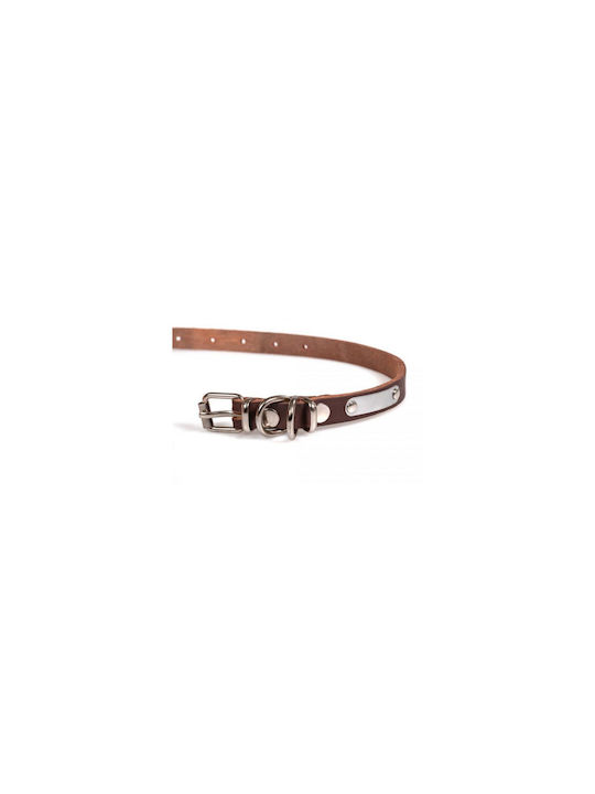 Guler Pentru Câini Piele De Ulei 2.2x45cm Culoare Maro Mărime S-m