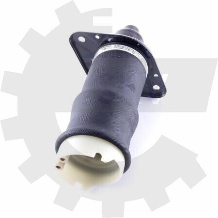 SKV Αερόφουσκα Hinten Links Für Audi A6 C5 4z7616051a