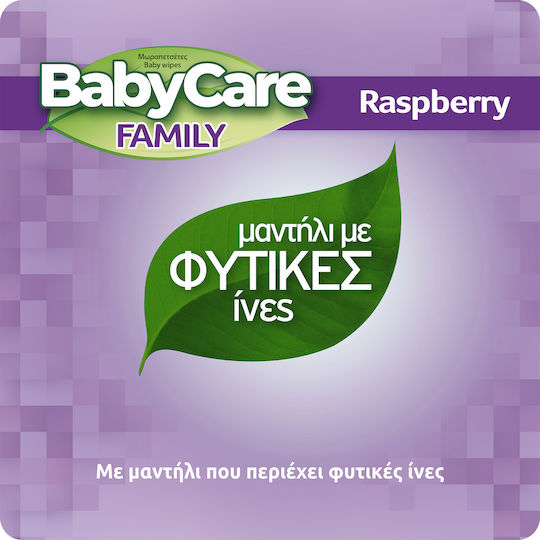 BabyCare Family Șervețele Umede Bebe Fără Alcool și Parabeni 12x90buc