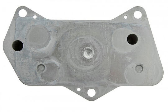 NTY Автомобилен маслен радиатор за Seat Leon Skoda Octavia / Superb Volkswagen Passat / CC / Golf Audi A3 / Q3 Lexus SC