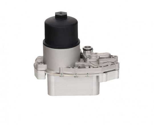 Ψυγείο Λαδιού Citroen C5 Iii 08 Fw936b624ab