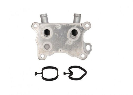 Radiator Ulei Renault Kangoo II 08 1.2 Tce 115 13 268247