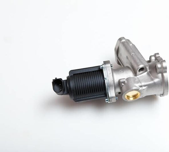 SKV Fiat Idea Auto-Motorventil für EGR