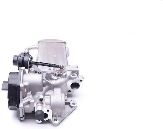 SKV Supapă EGR pentru autoturism Citroen C6 Audi A4 / A5 / A6 / Q5