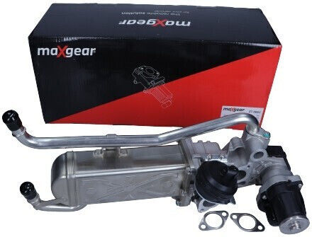 Maxgear Maxgear Auto-Motorventil für Seat Ibiza