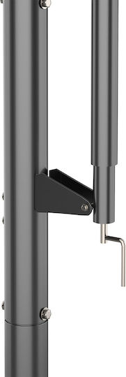 AMILA Deluxe Μπασκέτα με Βάση και Ρυθμιζόμενο Ύψος 230-305εκ.