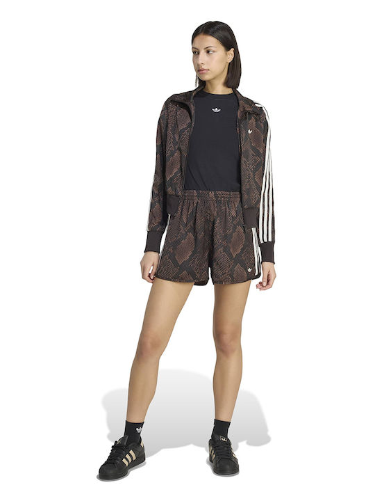 Women's Brown Shorts