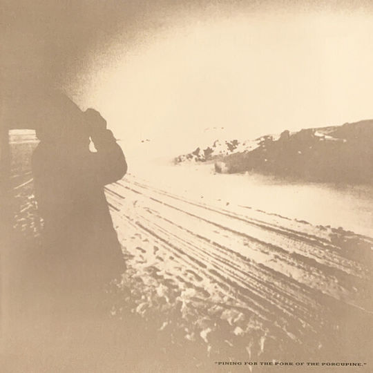 Echo & Bunnymen Porcupine 1 Vinyl