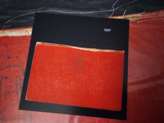 Amnesiac Vinyl