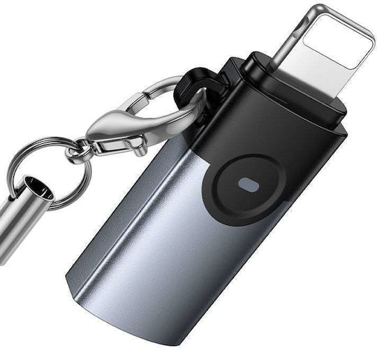 Lightning Male to USB-C Female Converter Gray