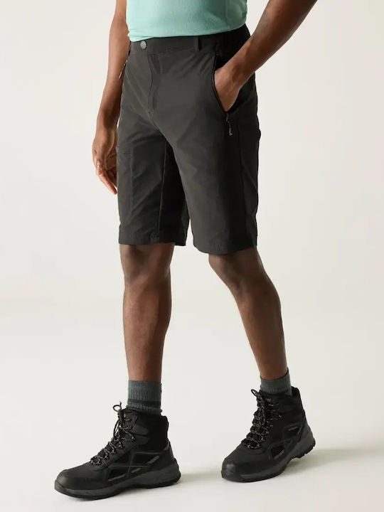 Regatta Herren Kurze Bergsteigerhose Grau
