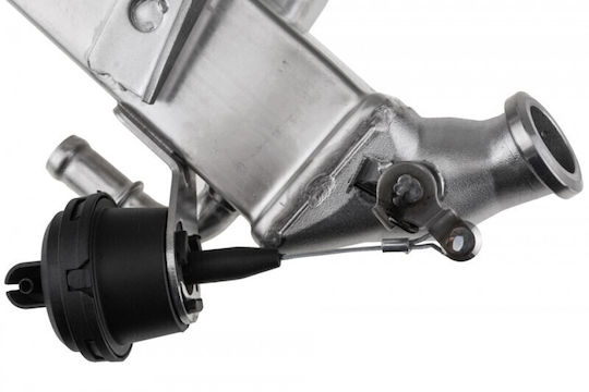Egr Cooler Renault Espace Iv 2002-0 2.0l Mpv Renault Grand Scénic Iii 2009-0 2.0l Mpv Renault Koleos I 2008-0 2.0l Suv