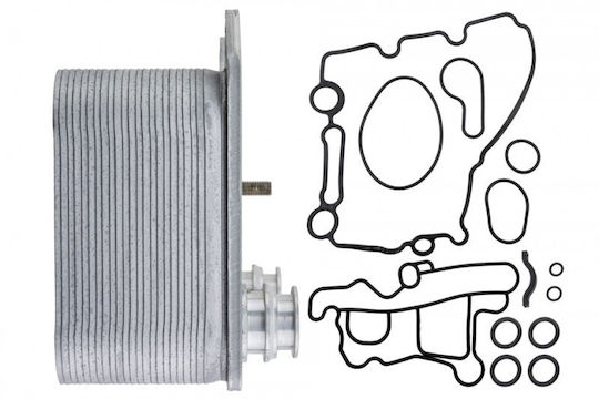 Ford Usa F-250 2003-2007 6.0l Pickup Öl Kühlschrank
