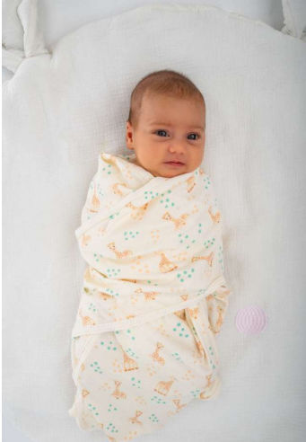 Baby Bliss Winterschlafsack Sophie Hellblau