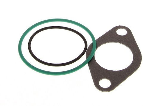 Egr System Dichtungsset Elring 934.820