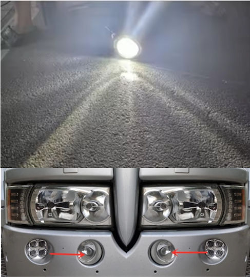Kennzeichenbeleuchtungen LED 24V 1Stück