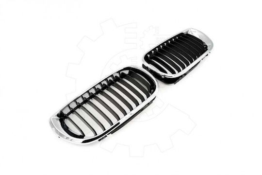 Dekorative Auto Maske BMW E46