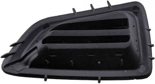 NTY Decorativ pentru Bord Auto