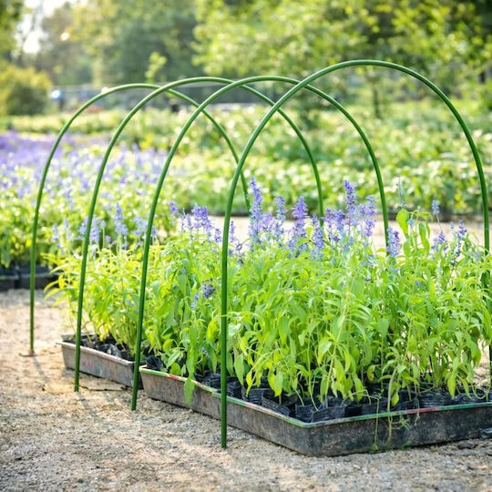 U-shaped Pvc Plant Stake H60cm