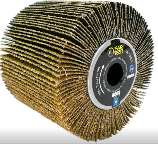 Lamellar Brush Diameter 120mm