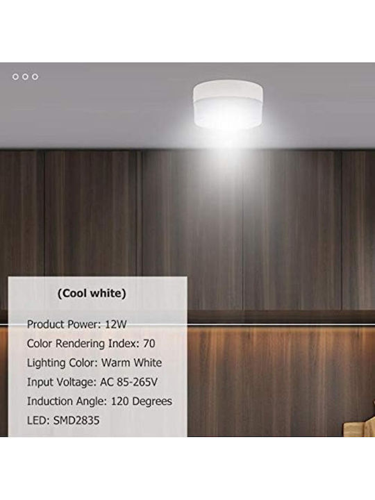 Jiju Panou LED Rotund 24W Cu Lumină Alb Cald 3000K