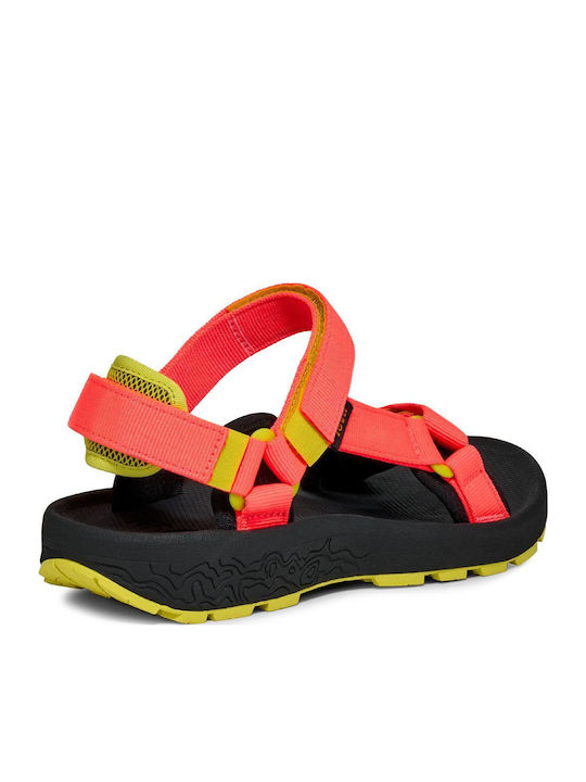 Teva