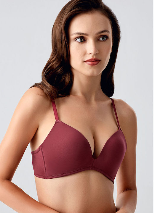 New Bra Lingerie
