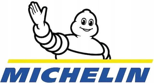 Michelin Reinigungsspray für das Armaturenbrett 650ml