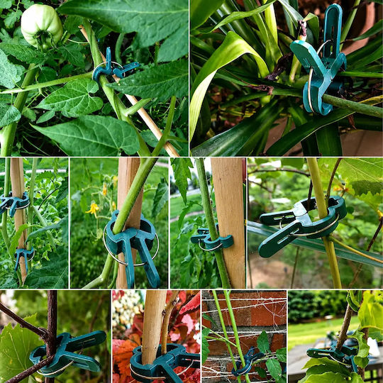Set 20 Clips De Legat Plante Zola Roșii Ardei Castraveți Reutilizabile Rezistente La Intemperii 4.5 X 3 Cm
