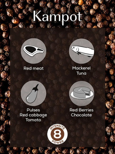 Peugeot Πιπέρι σε Μύλο 60gr