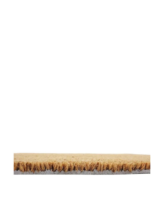 Artsy Mats Entry Doormat Made of Coconut Tree with Non-Slip Underlay Shells Shells 60x40cm