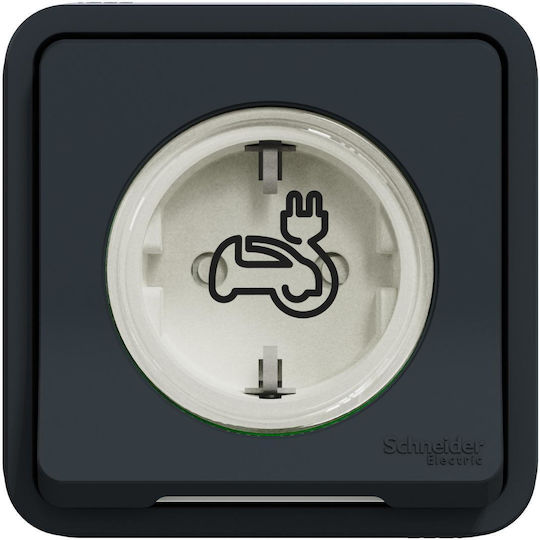 Schneider Electric Μονή Πρίζα Ρεύματος Γκρι