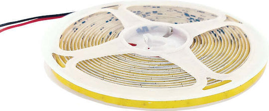 Vito LED Strip 24V Natural White Light 5m Type COB with Power Supply