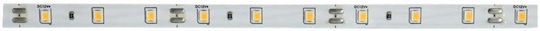 Lightex LED Лента 12V Неутрално Бяло Светлина