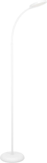 Eglo Lauro LED Floor Lamp H132xW45cm. with Adjustable White Light