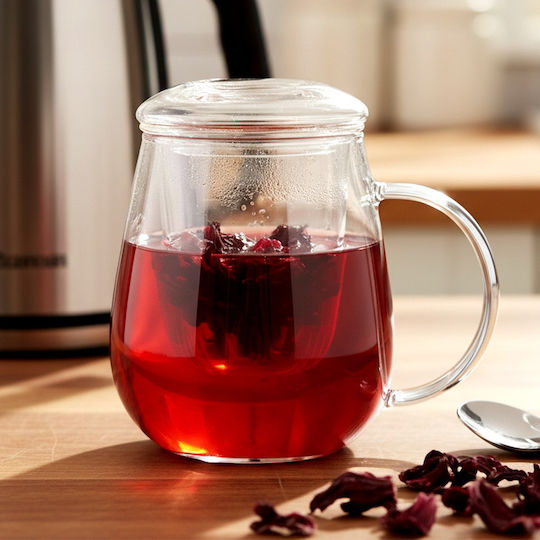 Orion Mug Glass with Lid Transparent 530ml