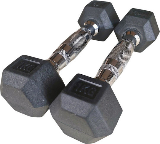 Profit Hexagon Dumbbell 1 x 1kg