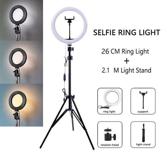 Ezra B-1250 Ring Light 25.5cm with Floor Tripod and Mobile Phone Holder