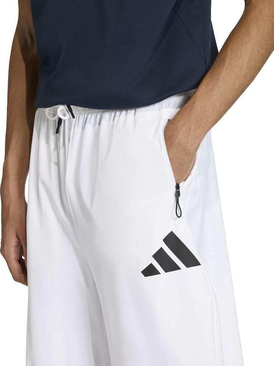 Z.n.e. Sweatpants with Elastic White