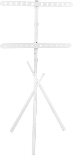 Maclean Energy MC-182 W Βάση Τηλεόρασης Δαπέδου έως 60kg Λευκό