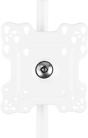 Maclean Energy MC-181 W Βάση Τηλεόρασης Δαπέδου έως 55" και 60kg Λευκό