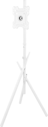 Maclean Energy MC-181 W Βάση Τηλεόρασης Δαπέδου έως 55" και 60kg Λευκό