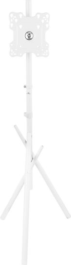 Maclean Energy MC-181 W Βάση Τηλεόρασης Δαπέδου έως 55" και 60kg Λευκό