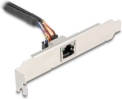 DeLock Κάρτα PCIe σε θύρα Mini PCIe / Ethernet