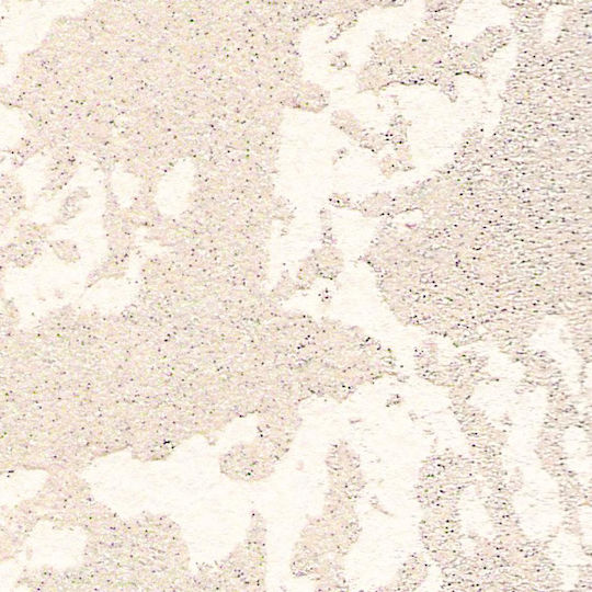 Arazzo Ocra Textured Plaster