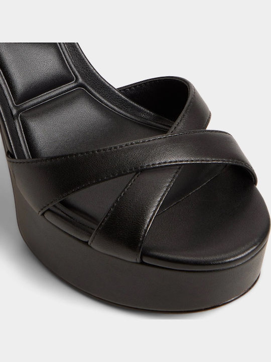 Aldo