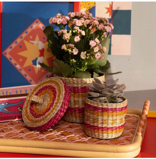 Stewehome Basket Sea Grass Decoration Storage Multicolour 14x12 Cm