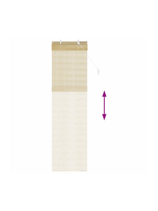 vidaXL Bamboo Roller Blind in Beige 50x220 cm
