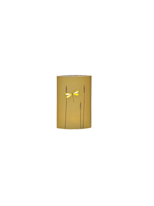 DictroLux Decorative LED Light Warm White 20x13x5cm