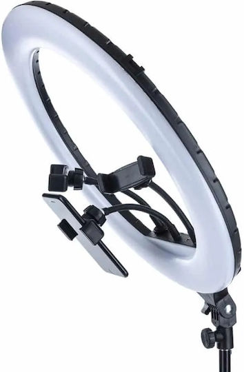 Salon Tech Ring Light